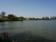 -上海长兴岛郊野公园