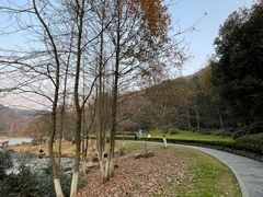 -桃花岭景区