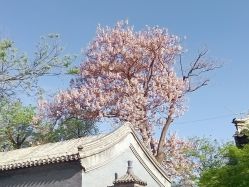 -怒马会 全麻衬西装高级定制