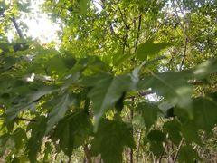 -长春市南湖公园