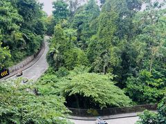 -圣淘沙天际线斜坡滑车