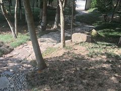 -新洲生态园