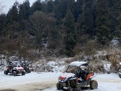 -武陵山森林公园