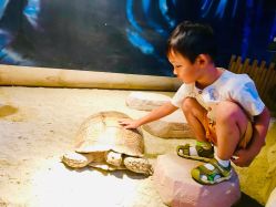 -酷嗒动物文化乐园(cutezoo西溪乐天城店)