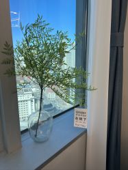 -久匠纹眉·半永久纹绣