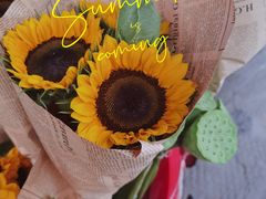 -三圣花乡旅游区