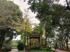 -大渡口区义渡公园