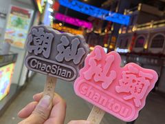 -汕头市小公园