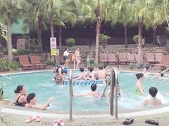 -100蛋泥浆浴
