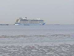 -吴淞炮台湾湿地森林公园烧烤区