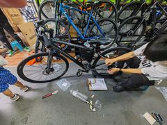 -道路口单车爱瓦士dahon大行