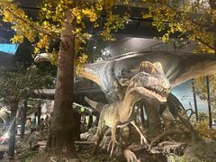 -湖南省地质博物馆