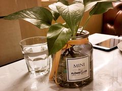 -TA'塔雀 墨西哥餐厅(江都金鹰店)