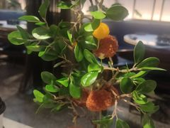 -新辣道鱼火锅(航天万源店)