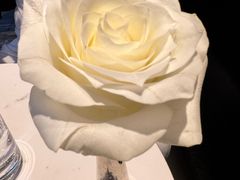 -COVA(新天地Xintiandi店)