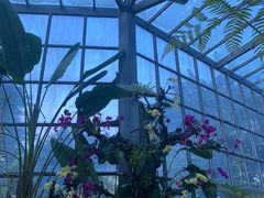 -东莞植物园