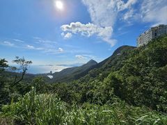 -太平山顶
