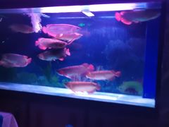 -弘安丽水温泉酒店