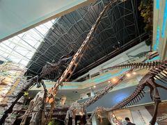 -安徽省地质博物馆