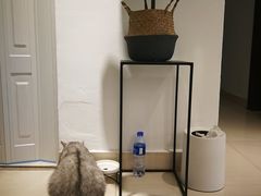 -Oasis绿洲银饰珍珠手作diy(壹方城店)
