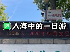 -嘉定紫藤园