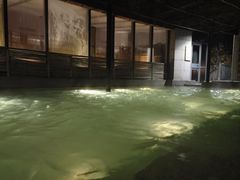 -春晖园度假酒店温泉