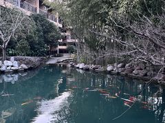 -和县香泉温泉度假村