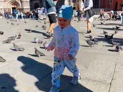 -圣马尔谷圣殿宗主教座堂