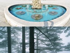 -沂蒙山旅游区云蒙景区(蒙山国家森林公园)