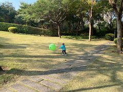 -白鹭洲公园