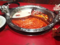 -海底捞火锅(北京路店)