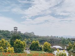 -张坝桂圆林公园