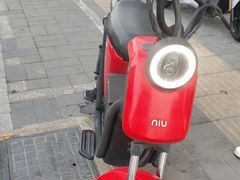 -小牛电动体验·租电动车(德胜门店)