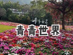 -青青世界
