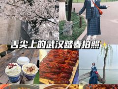 -武汉大学-樱园