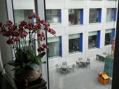 -蔓兰家的四季S0餐厅·融合菜(当代MOMA店)