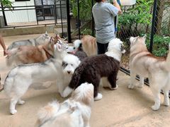 -TrueLove @ Neverland (Husky Cafe)