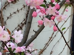 -长阳创谷