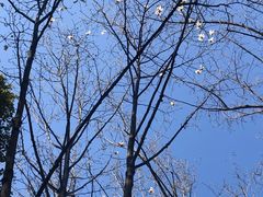 -上海市龙华烈士陵园