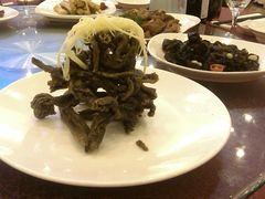 -中国饭店-餐厅