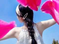 -荷兰花海