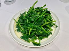 银杏豌豆尖-眉州东坡(民族园店)
