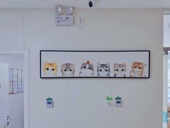 -美联众合动物医院·24h京西诊疗中心