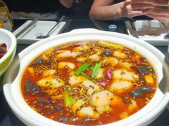 -三强鸽子(中原路店)