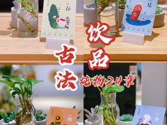 -炖物24章·顺时轻养茶(黄龙店)