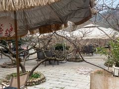 -桃源山庄·水蜜桃采摘·柴火鸡·烧烤团建(龙泉山店)