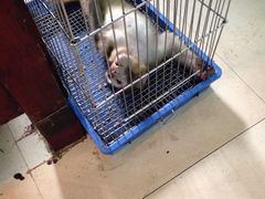 -原巷口鱼丸店(龙头路外卖店)