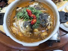 -杨正宗烤全羊(北二环店)