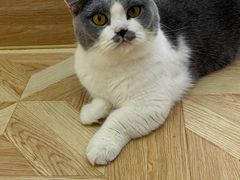 -青柠影咖·私人影院(龙泉店)