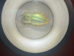 -河南自然博物馆